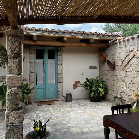Graziosa Stanza Campidanese Su Terzu Guest House Oristano Luaran gambar