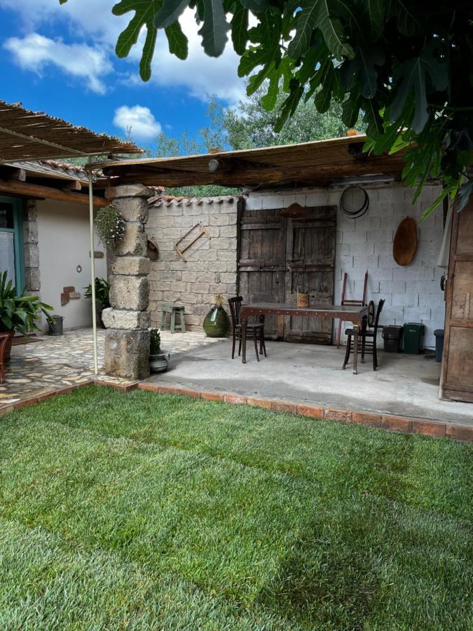 Graziosa Stanza Campidanese Su Terzu Guest House Oristano Luaran gambar