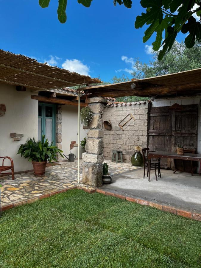 Graziosa Stanza Campidanese Su Terzu Guest House Oristano Luaran gambar
